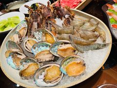 -诺莱仕游艇会