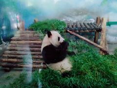 -无锡动物园·太湖欢乐园