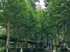 -四川大学(望江校区)