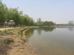 -大兴滨河森林公园