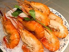 冰醉沼虾-阿甘龙虾·重庆麻麻鱼(中豪店)