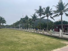 -爱情邮局