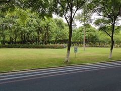 -贡湖湾湿地公园