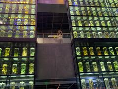 -广东中医药博物馆
