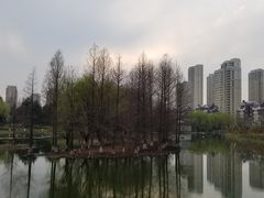 -白塘生态植物园