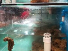 -青石桥市场北1-27号