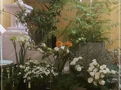 -蝶舍·MAISON PAPILLON