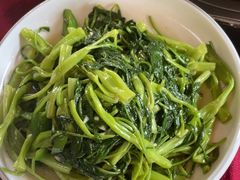 -麻奢鸽农庄·梦里水乡