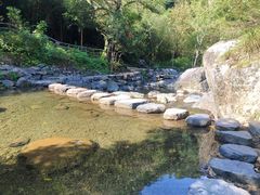 -祁门牯牛降观音堂风景区