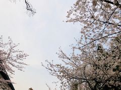 -鸡鸣赐茶(鸡鸣寺路店)