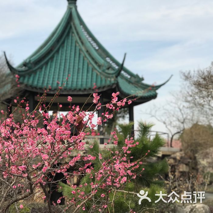 天心台