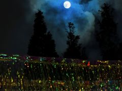 -弗兰克牛排西餐厅Ribone steak house(柠檬花园店)