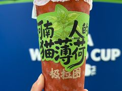 -极拉图·现制冰淇淋(大卫城店)