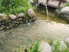 -玉舌尖私房菜(裕华店)