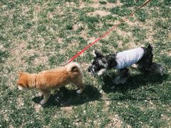 -TIPPI营地 房车主题·露营烧烤团建轰趴(天安假日店)