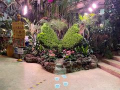 -正佳雨林生态植物园