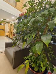 -An Ting岸汀·美容SPA