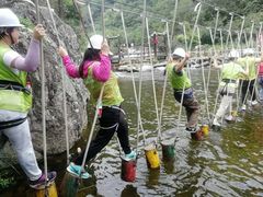 -牛背梁国家森林公园