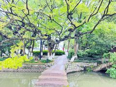 -江心屿景区