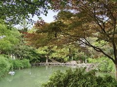 -青枫公园
