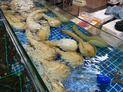 -渔人湾码头海鲜市场负二楼