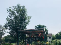 -田园东方蜜桃村的田野营地