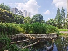 -成都市活水公园
