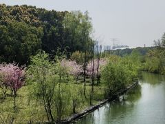 -昆山城市生态森林公园