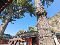 -圣莲山风景区