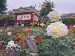 -宝墨园景区