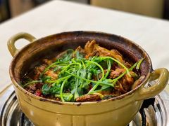 渝君鸡煲-渝君重庆火锅(嘉宾路店)