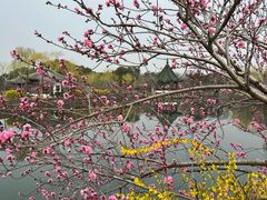-无锡蠡湖国家湿地公园-蠡园