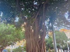 -解放路步行街
