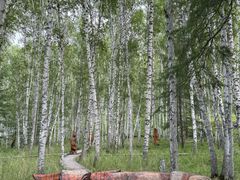 -哈乌尔河