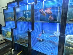 -金龙·打边炉(武进路店)