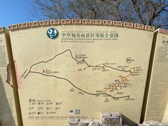 -中华福寿山