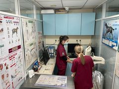 -瑞派·关忠动物医院·猫专科·犬专科(三环新城店)