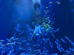 -波塞冬旅游度假区