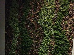 -上足·影院足道·SPA(红岭店)