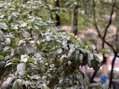 -mYSTEPS健身运动馆(古北店)
