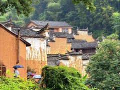 -杨家堂村
