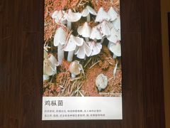 -云采云南菜(中山北路店)