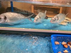 -盛宴自助餐厅(运达喜来登店)