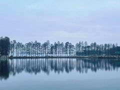 -东湖落雁景区