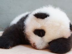 -星巴克(上海交通大学店)