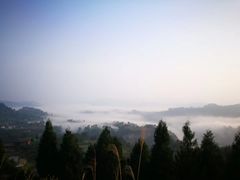 -铁山坪森林公园