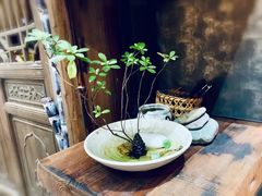 -黎阳老街