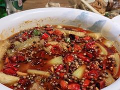 -鸽子窝(青塔店)