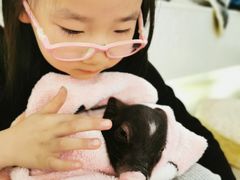 -浣熊柯尔鸭土拨鼠·电玩咖