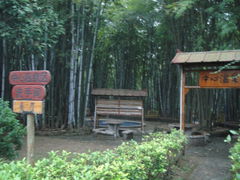 -林丰温泉度假山庄